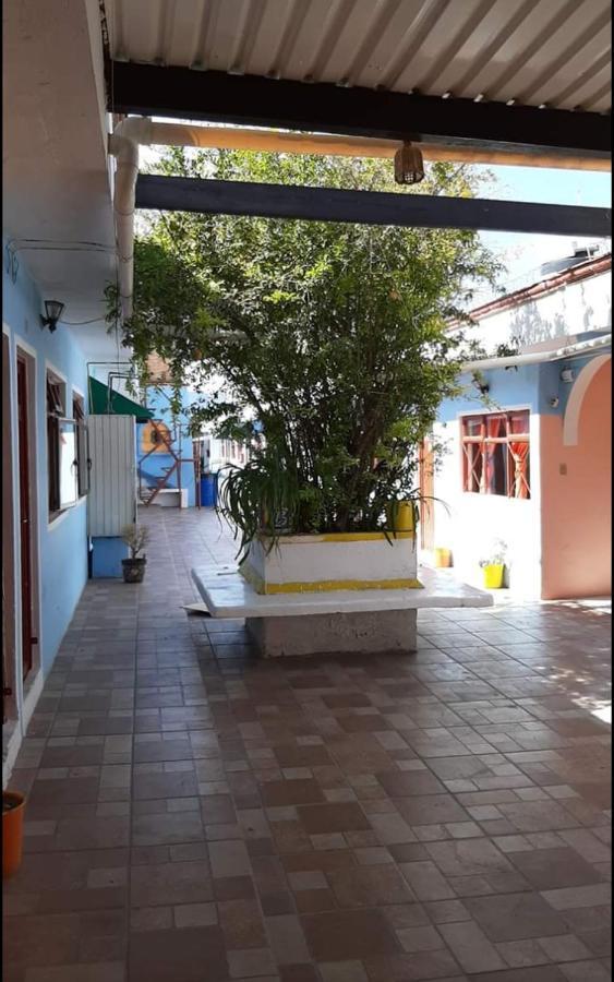 Hotel Reforma Inn Querétaro Dış mekan fotoğraf